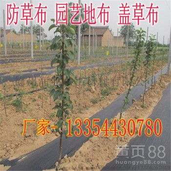 优质高强度塑编布防草布 UV抗老化与耐腐蚀性能全解析