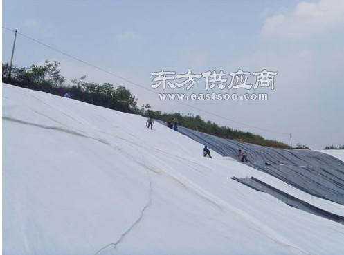 探秘宁波钜晟塑料编织布生产厂家 品质塑编布的匠心制造