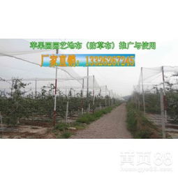 【防草布作用、使用效果、山东塑料编织布厂家、白编织布价格】-