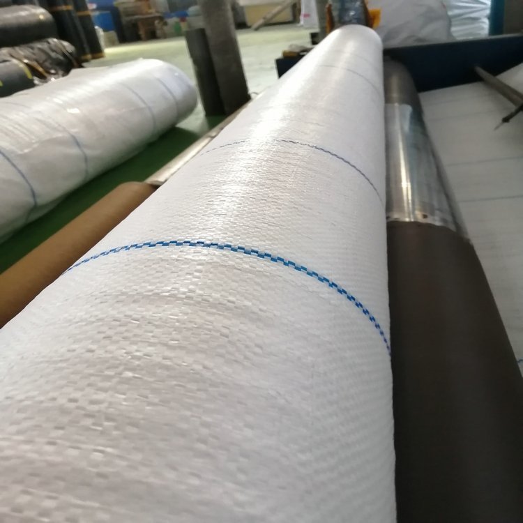 聚乙烯pe编织布 聚丙烯pp塑编布 100克 120克 150克 8米宽 - 爱企查